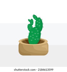 Plant vector design, Cactus pot, Cactus design vector