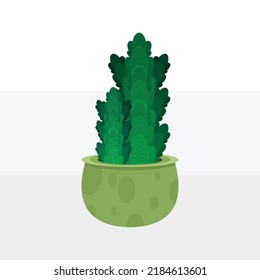Plant vector design, Cactus pot, Cactus design vector
