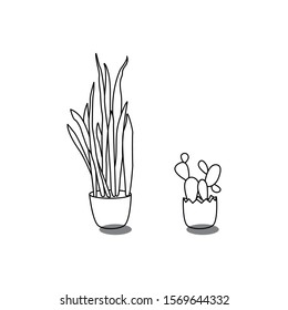 plant vector design. cactus and sansevieria icon