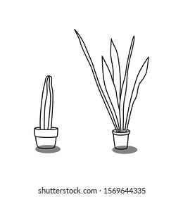 plant vector design. cactus and sansevieria icon