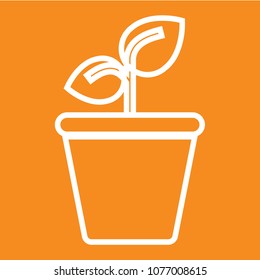 plant vector icon