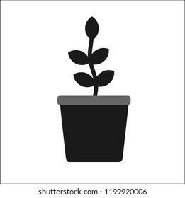 plant vector icon