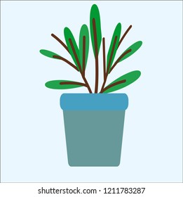 plant vector icon