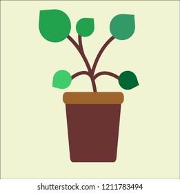 plant vector icon