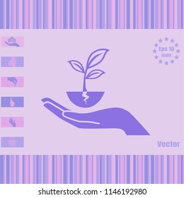 plant vector icon with human hand. Illustration on a flat design style. EPS 10. Suitable for ecology, agriculture theme.