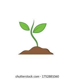 plant vector icon illustration design