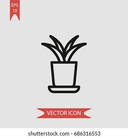 Plant vector icon, illustration symbol