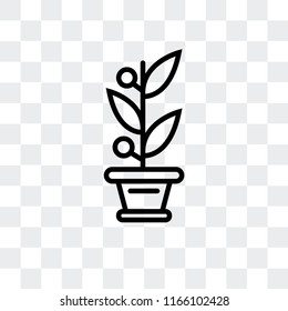 Plant vector icon isolated on transparent background, Plant logo concept