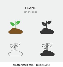 plant vector icon with leaves farming garden and agriculture icon