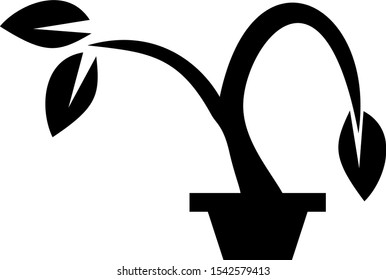 Plant vector icon on white background