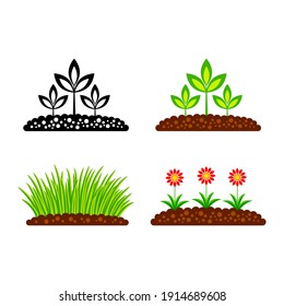 Plant vector icon on white background