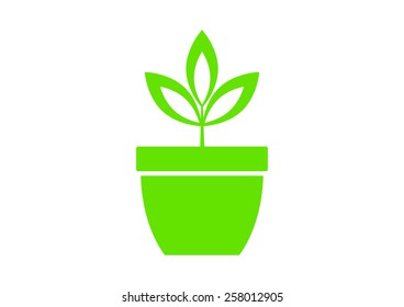 Plant vector icon on white background