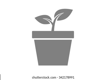 Plant vector icon on white background