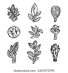 Plant Vector Icon Set in Minimal Line Art Drawing 