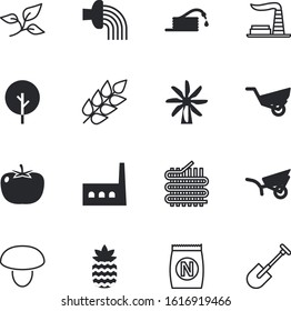 plant vector icon set such as: colored, textiles, alternative, pattern, wood, space, sewing, rotation, gardener, flour, sweet, autumn, chemical, generator, cotton, textile, juicy, ananas, spade