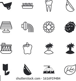 plant vector icon set such as: molar, house, eat, hydro, system, root, barrow, flora, clinic, pipe, yellow, tooth, stylized, sunflower, mouth, automatic, bell, rubber, farming, station, machine