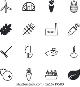 plant vector icon set such as: salad, flowers, happy, stages, icons, wild, space, gluten, tropical, town, cucumber, plants, greenhouse, day, simple, tool, eggplant, raking, modern, corn, 3d, jungle