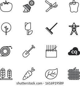 plant vector icon set such as: electrical, alternative, renewable, botany, beautiful, turbine, tulip, trendy, colorl, rice, detox, leek, logo, decoration, atmosphere, scissors, spray, cut, irrigation