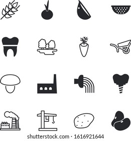 plant vector icon set such as: branch, manufactory, ground, project, pea, label, hose, legume, up, pod, happy, wheat, condiment, market, rubber, barley, soy, pipe, outdoor, trees, screw, crane, grass