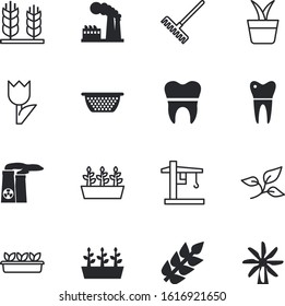 plant vector icon set such as: horticulture, shape, potted, metal, solar, broccoli, beet, pollution, crane, flowers, beauty, texture, eggplant, abstract, potato, wind, onion, environmental, nutrition