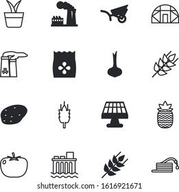 plant vector icon set such as: houseplant, blossom, batteries, outdoor, indoor, fastfood, elements, flora, smoke, plants, watering, windmill, health, carry, pots, walnut, interior, pot, sesame