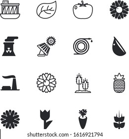 plant vector icon set such as: barley, sweet, flavor, object, drop, lotus, dessert, broccoli, dieting, sprinkler, hydroelectric, happy, collection, vectors, cabbage, orange, daffodil, garlic, yellow