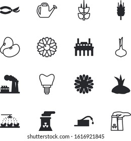 plant vector icon set such as: phase, model, evolution, botanical, work, lotus, radish, can, sharp, coiled, dental, bell, cover, pouring, stomatology, cabbage, agricultural, horizontal, growth