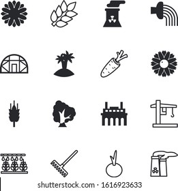 plant vector icon set such as: dieting, health, drop, spica, sand, onion, coconut, year-round, spraying, ocean, tropical, collection, success, structure, horizontal, automatic, label, lifting, orange