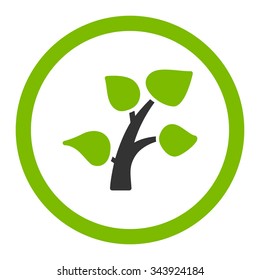 Plant vector icon. Style is bicolor flat rounded symbol, eco green and gray colors, rounded angles, white background.