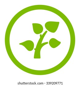 Plant vector icon. Style is flat rounded symbol, eco green color, rounded angles, white background.