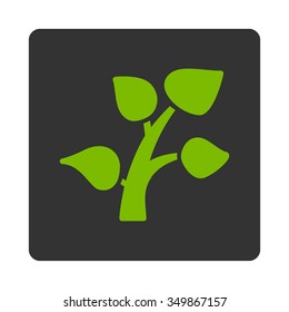 Plant vector icon. Style is flat rounded square button, eco green and gray colors, white background.