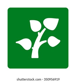 Plant vector icon. Style is flat rounded square button, white and green colors, white background.