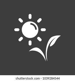 plant vector icon, sun  icon 