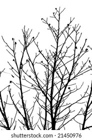 Plant vector illustration
