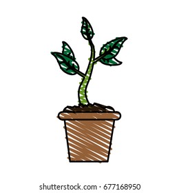 plant vector illustration