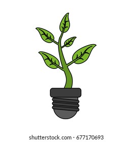 plant vector illustration