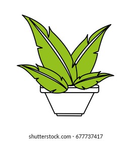 plant vector illustration