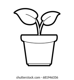 plant vector illustration