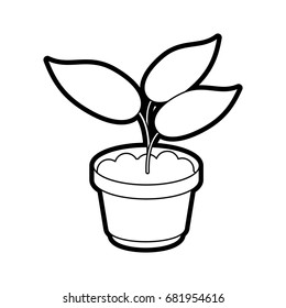 plant vector illustration