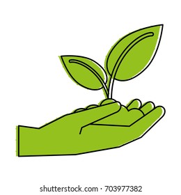 plant vector illustration
