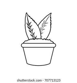 plant  vector illustration