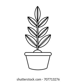 plant  vector illustration