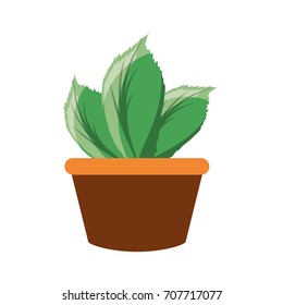 plant  vector illustration