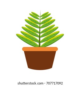 plant  vector illustration