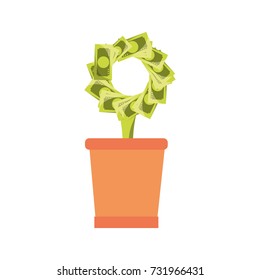 plant vector illustration