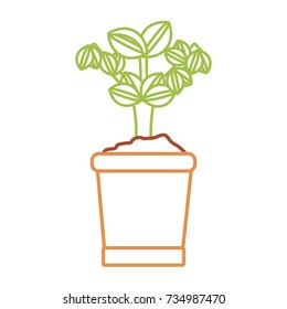 plant vector illustration