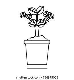 plant  vector illustration