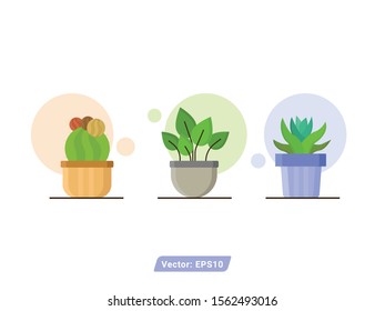 plant vector illustration. cactus icon vector flat style. modern plant illustration. modern flower design concept