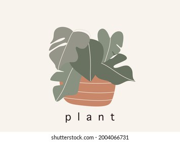 diseño plano de ilustración de vector de planta. vector de la planta de la maceta. estampado de arte botánico de moda.
