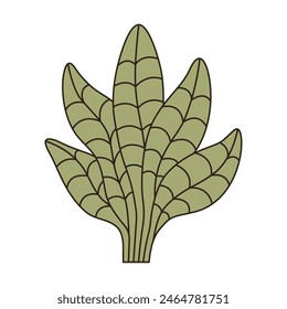Plant vector illustration, hand drawn vector illustration, plant logo. Nature element illustration.